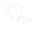 Ajax Training & Consulting
